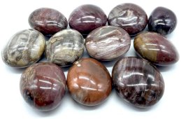 Guijarro Laminado Madera Fósil 'A' 1KG