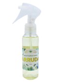 Florida Agua Spray Parfum Arruda 100mL